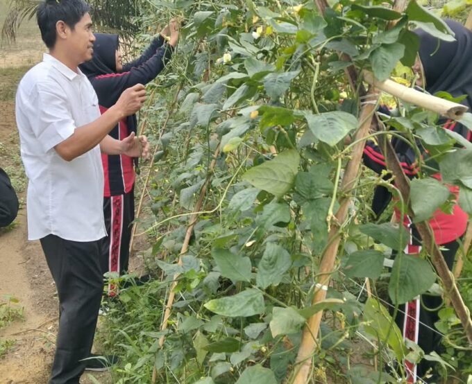 BIDANG HUMAS